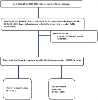 Temporal trends of arrhythmias at delivery hospitalizations in the United States: Analysis from the National Inpatient Sample, 2009–2019